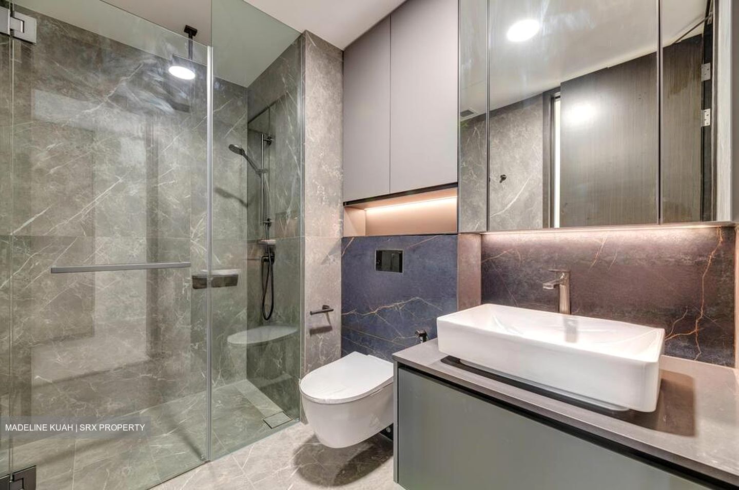 Irwell Hill Residences (D9), Apartment #460478741